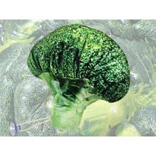 15cm立體模擬花椰菜娃娃吊飾 ❤ 鑰匙圈 婚禮小物 抽捧花 男捧花 伴郎禮 情人節 婚禮佈置 婚禮遊戲 抽獎 玩偶
