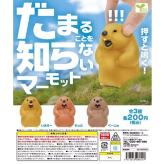 天天痛風『梗圖現貨』啊!!!土撥鼠 轉蛋 扭蛋 YELL 土撥鼠 梗圖 迷因