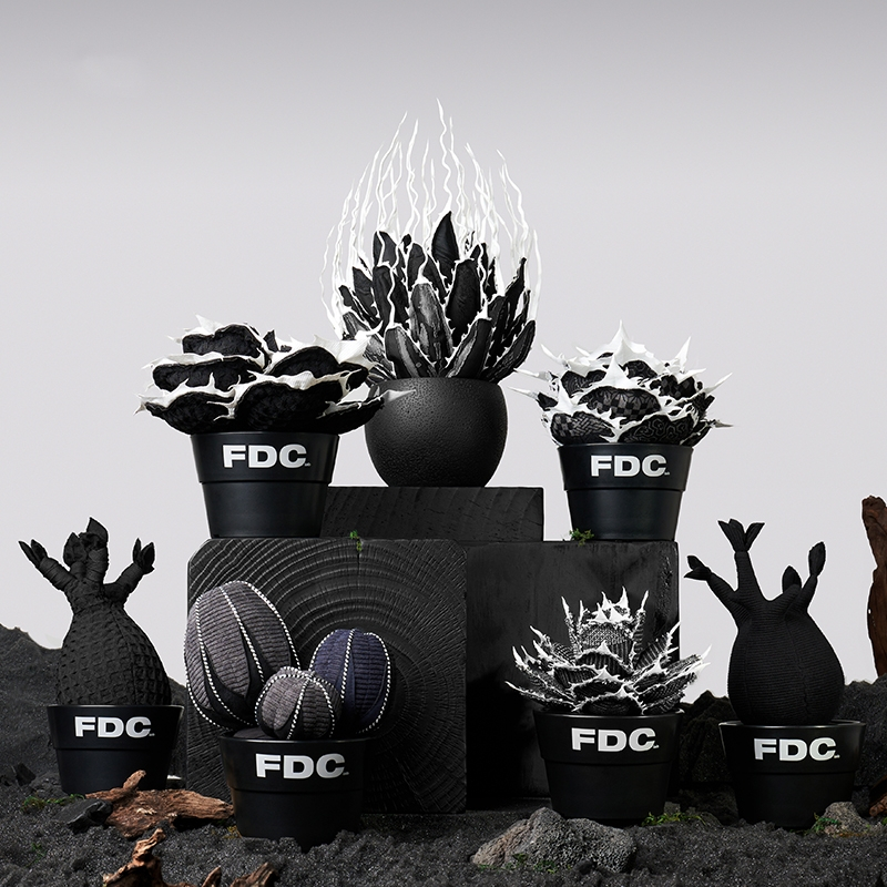 FDC象牙宮布偶擺件 塊根植物擺飾 龍舌蘭藝術品 佈紋球布偶 潮流擺件 客廳裝飾品 藝術擺件