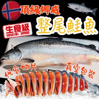 🏴‍☠️海底寶🏴‍☠️生食級挪威整尾鮭魚 鮭魚 挪威鮭魚 空運來臺 挪威鮭魚 鮭魚頭 整尾鮭魚 鮭魚尾巴 鮭魚肉