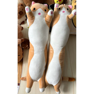 貓咪長條抱枕50cm(2隻大特價）