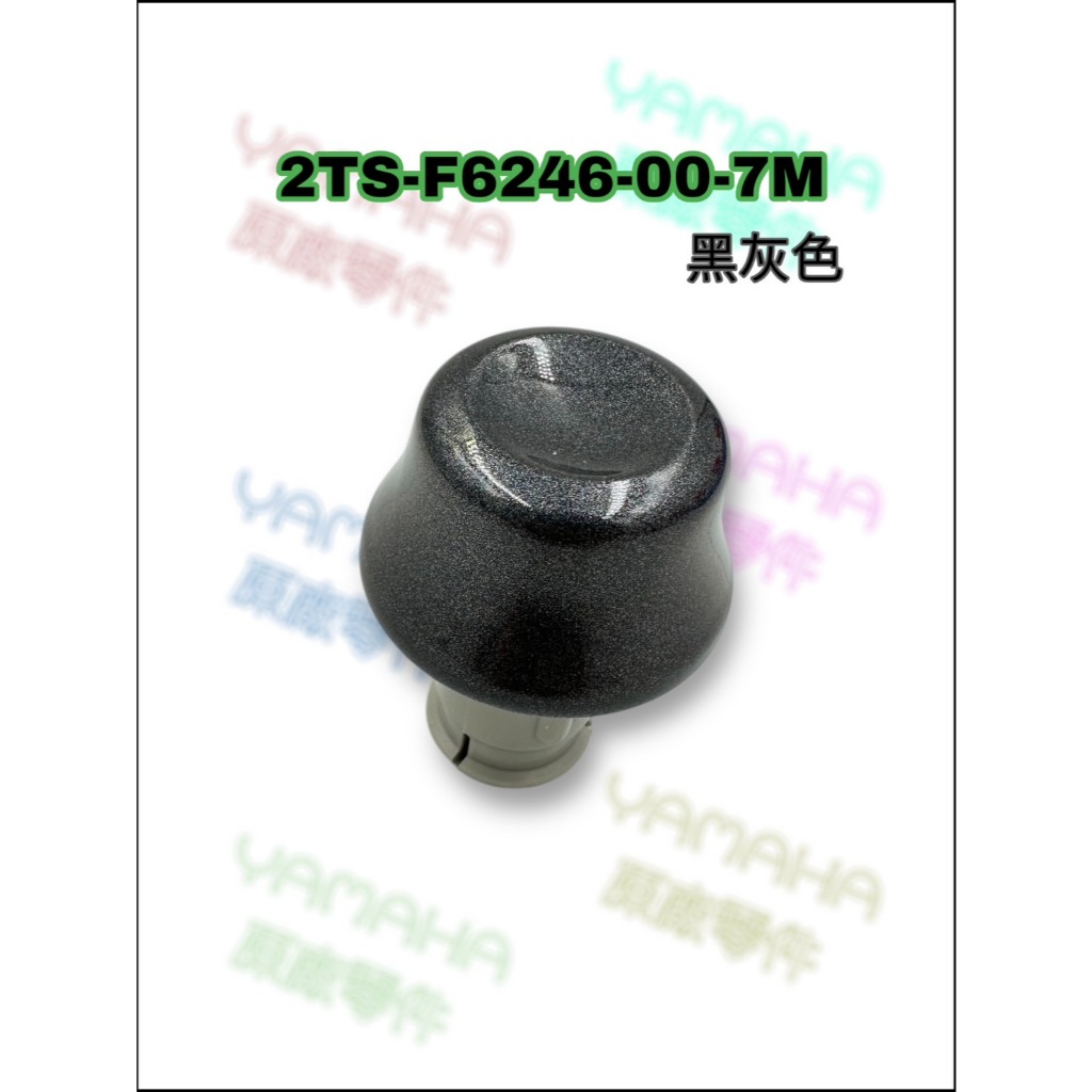 （山葉原廠零件）2TS 勁豪 平衡端子 平衡器 平衡 端子 握把尾端 AXIS Z 125