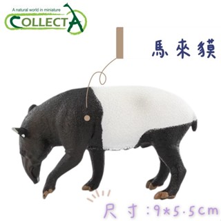 【MRW】CollectA 英國高擬真模型 馬來貘 亞洲貘 印度貘 哺乳動物 模擬 野生動物 動物模型 公仔