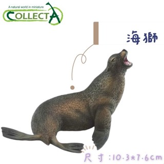 CollectA 英國高擬真模型 海獅 模擬 野生動物 動物模型 公仔 海洋 海洋動物