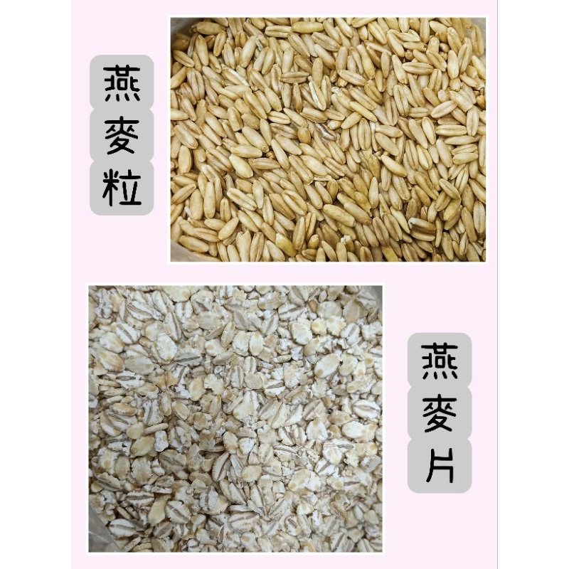 滿千折50 電子發票 生燕麥粒600g 燕麥 燕麥粒 燕麥片 在庫冷藏 生燕麥片