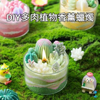 【蝦皮代開發票 臺灣現貨】手作 DIY材料包 多肉植物 盆栽 香薰 蠟燭 仙人掌 精油 香氛 擺件 創意 禮物 活動
