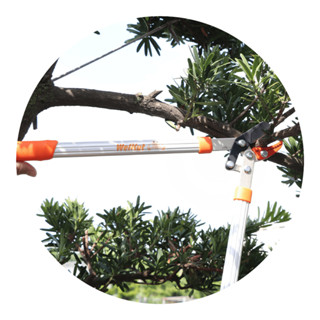 【wellcut 紅蟳牌】原價800 特價500 超輕量樹枝剪 臺灣製造 外銷世界.園藝剪.剪刀.專業省力剪.修枝