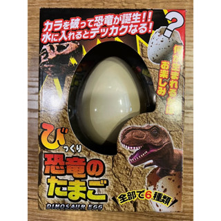 現貨！！！日本帶回🇯🇵可愛恐龍蛋玩具 泡水孵化蛋 模型 盲盒（6種樣式）