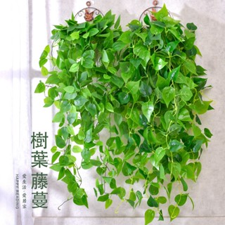 🍃模擬樹葉藤蔓🍃 模擬綠植 綠蘿葉 客廳牆掛 壁掛樹葉 萬年青 垂吊樹葉藤條 葉子 室內藤蔓 室外裝飾 藤蔓管道纏繞花藤