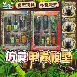 模擬甲蟲玩具 發條甲蟲 昆蟲模型 獨角仙 鍬形蟲 甲蟲模型 日版模擬 甲蟲圖鑑 模型組 昆蟲玩具 甲蟲