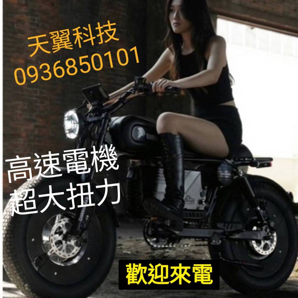 【天翼科技】 台灣代理商 現車 最新款warriors 1500w 電動自行車 黑武士 電動輔助自行車