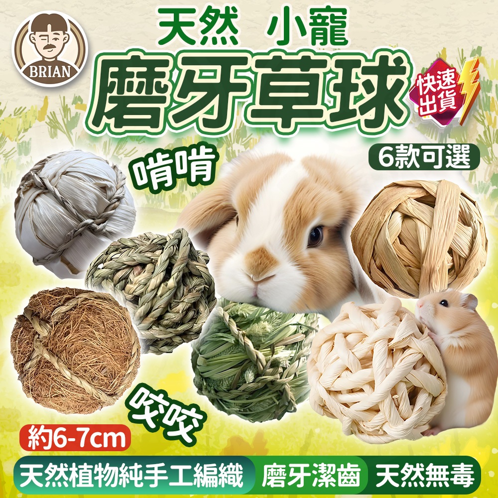 小寵草球【布萊恩👨🏻隔日到貨】兔子玩具 提摩西草球 草球 磨牙草球 牧草球 編織草球 天竺鼠玩具 啃咬玩具 磨牙玩具