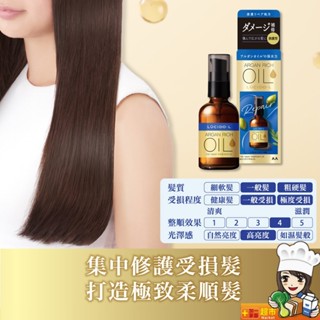 樂絲朵-L 摩洛哥護髮精華油(修護型)60ml/單罐 護髮 精華油 潤髮 保濕 修護 護髮用品 公司貨