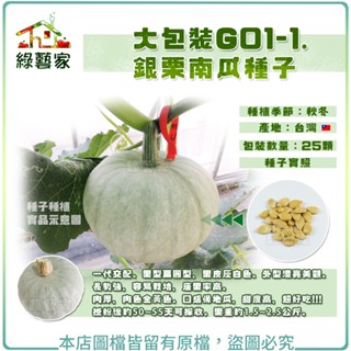 【綠藝家】大包裝G01-1.銀慄南瓜種子 25顆 //一代交配。果型扁圓型，果皮灰白色。外型漂亮美觀。