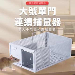 💥臺灣發貨 免運費 大號連續捕鼠籠 老鼠籠 捕鼠器 捕鼠瓶 捕鼠 老鼠夾 撲鼠器 滅鼠 自動捕鼠夾 捕鼠神器 粘鼠貼