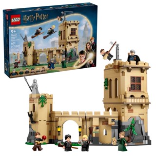 LEGO 76447 飛行課 樂高® Harry Potter™【必買站】樂高盒組