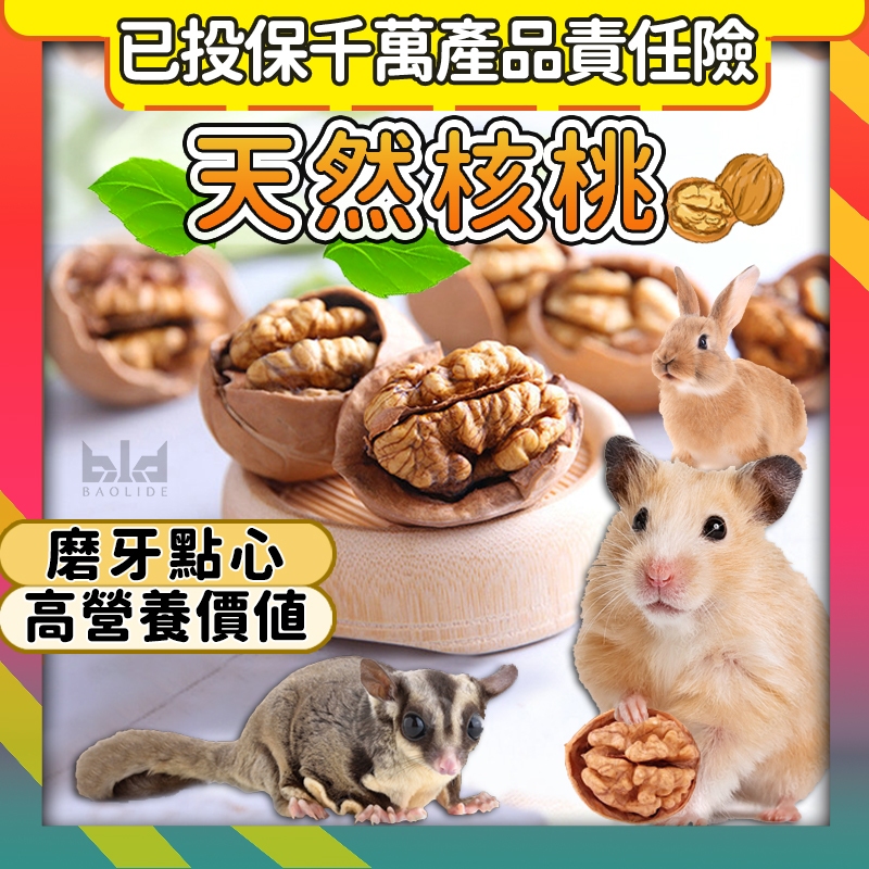 【台灣現貨!美國進口!小寵磨牙!營養品】 帶殼核桃 倉鼠磨牙零食 小寵零食 黃金鼠 烤核桃 鸚鵡 磨牙零食點心 倉鼠零食