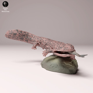 Tazo工坊[AD] 日本大鯢pose2Japanese giant salamander 3D列印模型JW