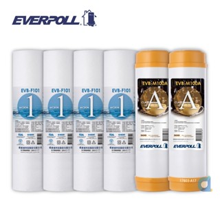EVERPOLL EVB-F101 1微米PP濾心4支 EVB-M100A道爾樹脂濾心2支(共6入) 大大淨水