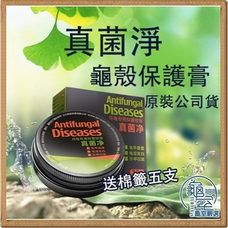 寵物都更所 真菌淨 烏龜 水龜 澤龜 陸龜 龜甲龜殼修復 龜殼保養 保護膏 角質化處理 烏龜水龜陸龜守宮蜥蜴角蛙 烏龜水
