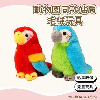 臺灣現貨 站肩鸚鵡玩偶 動物園同款 磁鐵吸附玩偶 可站立 鸚鵡公仔 衣服配飾 兒童創意玩具 卡通毛絨公仔 兒童節禮物
