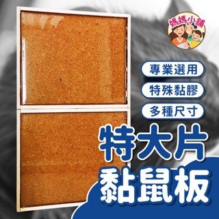 【臺灣製】黏鼠板 特大片30x25黏鼠板 除鼠公司專用型 滅鼠 捕鼠 捕鼠板 粘鼠板