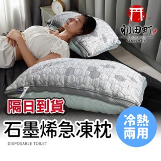 隔日到貨【石墨烯急凍超導棉枕】枕頭 防蟎枕頭 抗菌枕頭 石墨烯被 墨烯護頸枕 石墨烯發熱被 暖暖被 羽絨被 獨立筒