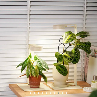 《現貨附發票》ONF Mist O+ 新款app連線-米色 隨吸植物培育燈具 植物室內照明 植物燈 觀葉 苔蘚 塊根