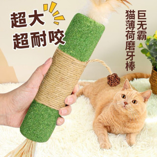 現貨【倔強的尾巴】貓薄荷/貓草棒/貓咪磨牙/貓 玩具/貓磨牙/貓薄荷玩具/磨牙玩具/貓草磨牙棒/貓咪磨牙棒/貓棒/貓咪咬