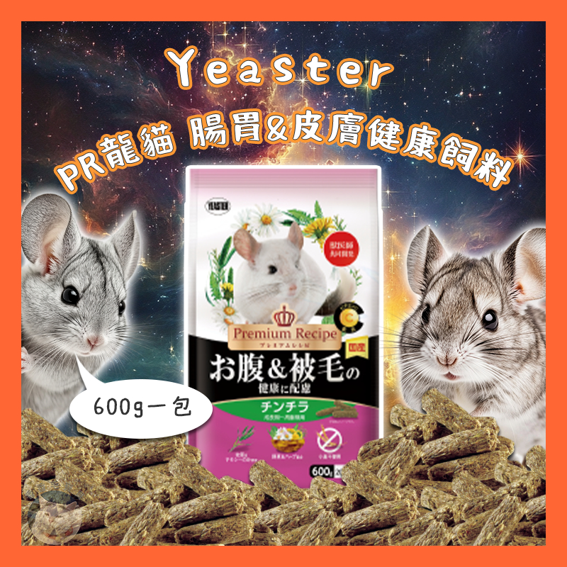 yeaster龍貓的價格推薦 - 2025年5月 | 比價比個夠BigGo