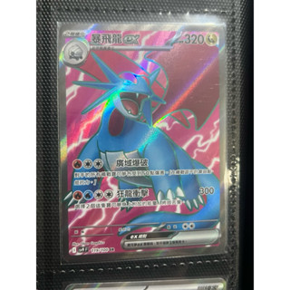 *Ca*~日系賣場~ 寶可夢卡牌 PTCG 中文版 SR 暴飛龍EX