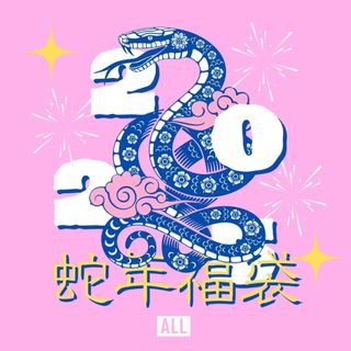 ALL 2025 蛇年 福袋 品牌保證 RIPNDIP PLEASURES LMC ROKIT THRASHER