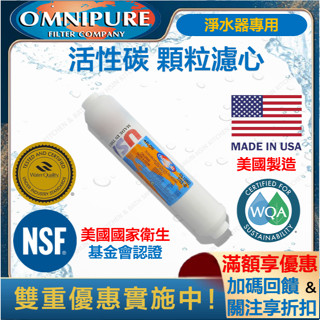 🔥RO 淨水器 美國進口 OMNIPURE 第5道 小T 活性碳 濾心 T33 逆滲透 CL10RO