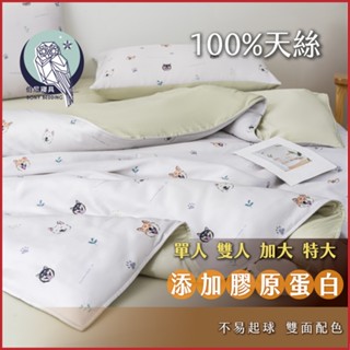 《伯尼寢具 現貨》三柴一生 床包兩用被組 天絲60支 tencel 床包 枕套 裸睡 床單 100%萊賽爾纖維 天然防蟎