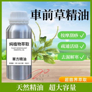 下殺 草本 純天然精油 車前草精油 100ML 1000ML 精油 按摩精油 身體保養按摩油 天然植物單方按摩刮痧身體油
