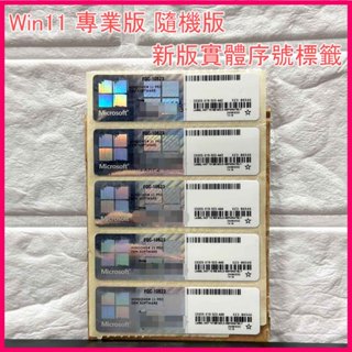Windows10 11 pro Win10 Win11 銀漆覆蓋 專業版 家用版 序號🗝️金鑰 貼紙非 office