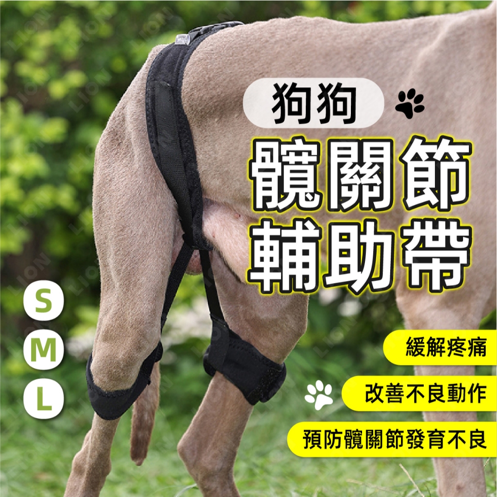 髖關節 輔助帶 預防／保護／改善✨台灣現貨 狗狗髖關節 寵物 退化 矯正 後腿關節帶 矯正帶 柯基 黃金 中大型犬