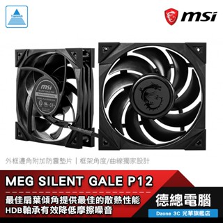 MSI 微星 MEG SILENT GALE P12 HDB軸承 防震墊片 氣流集中 機殼風扇 光華商場