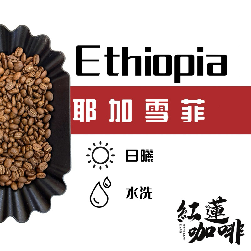 ‹紅蓮咖啡›衣索比亞 耶加雪菲 日曬/水洗 平價咖啡 店家合作 批發零售 咖啡豆 咖啡廳 香水玫瑰 水果炸彈