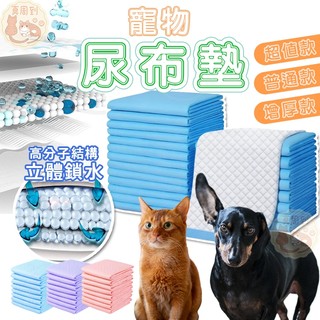 狗狗尿布墊 寵物尿布墊 超值款 普通款 增厚款 尿布墊 寵物尿布 寵物廁所 寵物看護墊 寵物尿布 狗尿墊 狗尿布 尿墊
