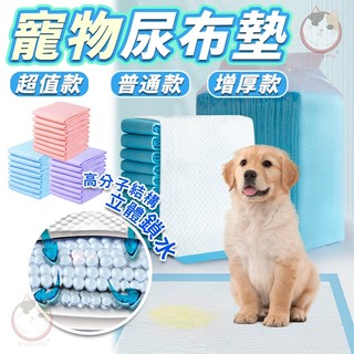 寵物尿布墊 狗狗尿布墊 尿布墊 寵物尿布 超值款/普通款/增厚款 寵物廁所 寵物看護墊 寵物尿布 狗尿墊 狗尿布 尿墊