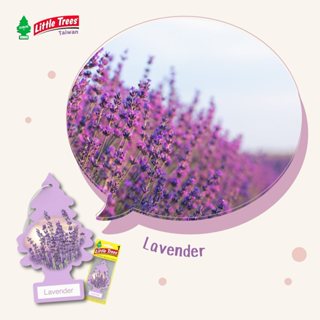 【薰衣草】Little Trees 小樹芳香系列 小樹香片(1片入) 小樹香片-薰衣草(1片)