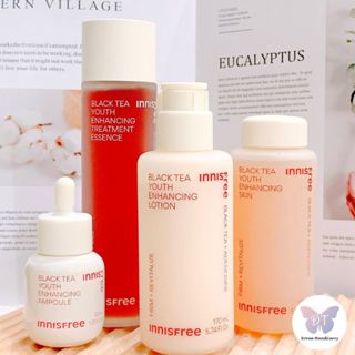 【滴滴踢⭐全館免運】 innisfree 紅茶精華修護安瓶 紅茶精華 30ml 修護 保濕 精華 正品 韓國