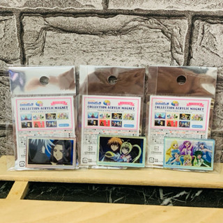 真珠美人魚 日版 盲抽 壓克力磁鐵 沙羅 凱特 海鬥 露亞 美人魚公主 磁鐵 莉娜 波音 可可