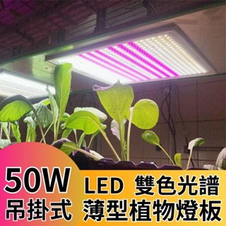 【君沛植物燈】LED植物燈 LED50W薄型植物燈板 50瓦吊掛式植物燈 雙色光譜設計 有助於提高栽培效率和作物質量