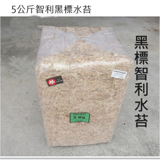 原裝包 智利 黑標 水苔，臺中門市現貨1400(鹿角蕨，食蟲植物，蘭花，雨林植物，甲蟲) 5公斤五公斤 水苔球