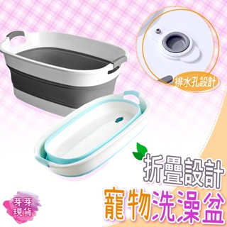 『快速發貨 滿額免運』🌱寵物洗澡盆🌱狗狗洗澡盆 寵物澡盆 貓咪洗澡盆 摺疊洗澡盆 狗狗洗澡 貓咪洗澡 可排水 可折疊