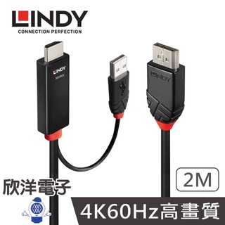 LINDY林帝 轉接器 主動式HDMI 2.0 to DisplayPort 1.2 轉接線帶USB電源 (41499)