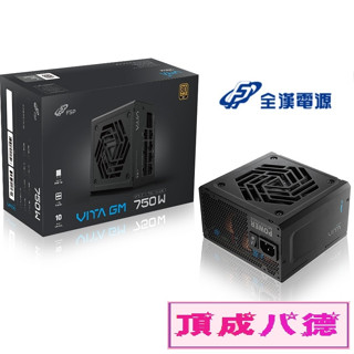 FSP 全漢 VITA-750GM 750W 80PLUS 金牌 全模組 12V-2x6 電源供應器黑白二色