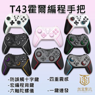 【就是要玩】NS Switch PC T43 霍爾手把 魔物獵人 搖桿 手把 連發 宏編程 巨集指令碼 喚醒 體感